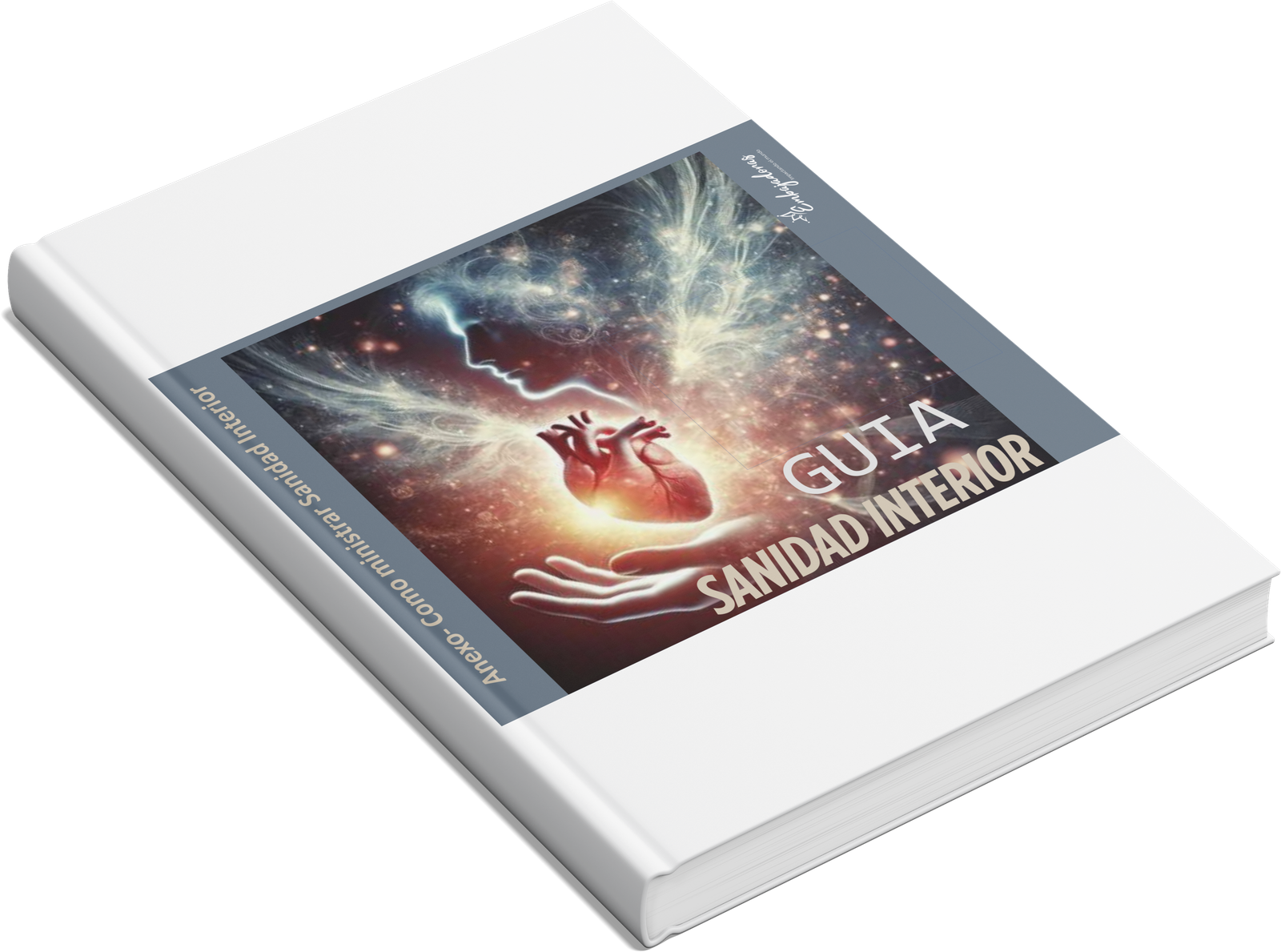 Manual de Sanidad Interior - Image 2